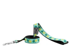 RC Pattern Dog Leash 1'X6' -PetNCoop Store 1209G 5 0354e7f6 ee40 4820 9d26 9dbe148a81de