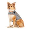 THUNDERSHIRT MD 20-50LBS GREY -PetNCoop Store 17719 1 6de7de45 b89e 4192 853f 5edc14617232