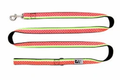 RC Pattern Dog Leash 1'X6' -PetNCoop Store 1884G EN US 3