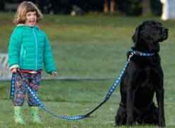 RC Pattern Dog Leash 1'X6'