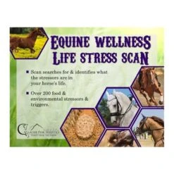 Glacier Peaks Equine Wellness Scan