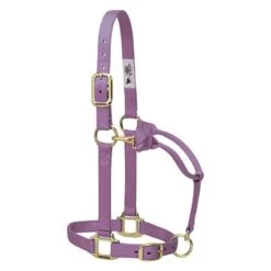 Weaver Leather Halter- Nylon Average Size -PetNCoop Store 20039 005 0080394 m