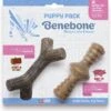Benebone Puppy Pack -PetNCoop Store 206947 MAIN. AC SL1500 V1571934514
