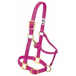 Weaver Leather Halter- Nylon Average Size -PetNCoop Store 21656 005 0028985 m 1 bcf0d675 8028 4712 9788 32fbfc2199c8
