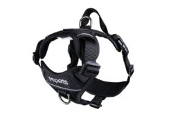 RC Pets Momentum Control Harness Medium