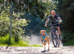 Momentum Control Harness Large -PetNCoop Store 2252A 9