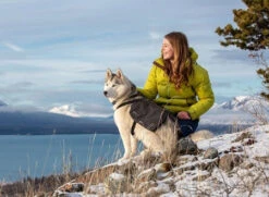 RC PETS QUEST DAY PACK- MD/LRG -PetNCoop Store 2265A 9 07b9aaa5 9cab 40bb 8f1e 4cd4f5960779