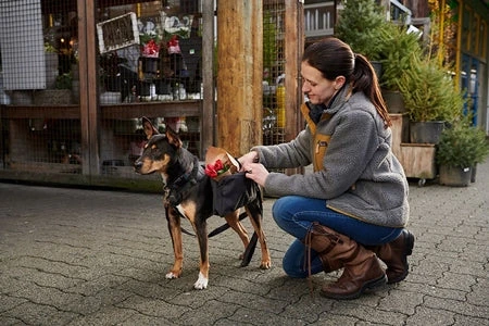 RC PETS QUEST DAY PACK XL 6 RC PETS QUEST DAY PACK XL - Image 4