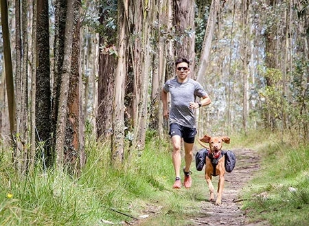 RC PETS QUEST DAY PACK XL 7 RC PETS QUEST DAY PACK XL - Image 5