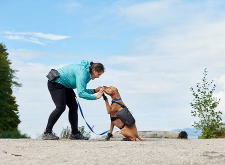 RC PETS QUEST DAY PACK XL 8 RC PETS QUEST DAY PACK XL - Image 6