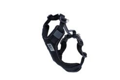 RC Pets Moto Control Harness XS 14-18" Girth 10-15lb -PetNCoop Store 2455G 5