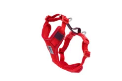 RC Pets Moto Control Harness XS 14-18" Girth 10-15lb -PetNCoop Store 2456G 5