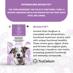 Foley's Functional Fungi Brain Function & Senior Support Peanut Butter 200g -PetNCoop Store 250xns2a