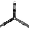 RC Pace No Pull Harness XS10-15 Lbs -PetNCoop Store 2565G 5 850a134b 012a 4ab9 af92 729419fc9bfb