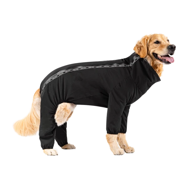 PetNCoop Store -PetNCoop Store 28202546 1