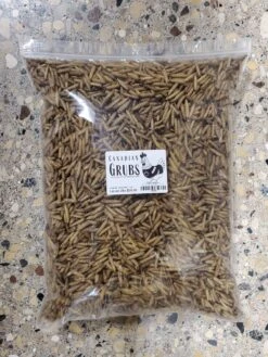 Black Soldier Fly Larvae 2lb -Canadian Grubs