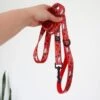 Catso & Co Leash Oh Canada -PetNCoop Store 306634549 3346746875648367 5009586347788518131 n