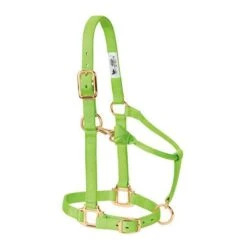 Weaver Leather Halter- Nylon Suckling Size -PetNCoop Store 33946 005 0029670 m fc626392 2a90 4a17 9711 d88dae352b37
