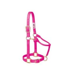 Weaver Leather Halter- Nylon Small Size -PetNCoop Store 38732 005 0030383 m e6c34f08 e883 4173 974d 0feb52dc73d0