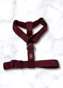 BULLY WAG "Y" STRAP HARNESS -PetNCoop Store 3 467x progressive png