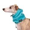 Chilly Dog Head Muff L-XL -PetNCoop Store 410 WH AB STOCK Quill 2 CR 88107 4c21e924 5504 4dbc a717 36edf186ce0b