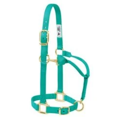 Weaver Leather Halter- Nylon Small Size -PetNCoop Store 44519 005 0031237 m 104d97ea 2f5f 4022 b320 47054a5f3bf2
