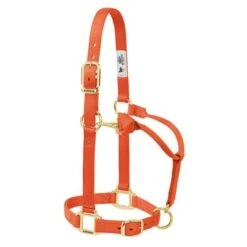 Weaver Leather Halter- Nylon Small Size -PetNCoop Store 44520 005 0031238 m 98054d0f e48e 4c1d b06d e654baae15f6