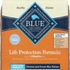 Blue Buffalo LP Large Breed Adult Chicken 26lb (Orange Bag) -PetNCoop Store 46882 MAIN. AC SL1500 V1636147027