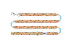 RC Pattern Dog Leash 1'X6' -PetNCoop Store 4825 source 1685628585
