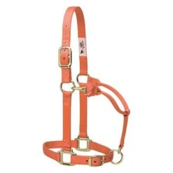 Weaver Leather Halter- Nylon Yearling Size -PetNCoop Store 48437 005 0080464 m 3e4506c7 2804 4211 a7c1 ee321b53bda0