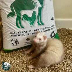 Straw Boss Straw Pellet Animal Bedding 40L -PetNCoop Store 490973622 1180150987240324 7597982668547362806 n