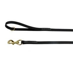ALL WEATHER BIOTHANE LEASH 5/8" X 6'