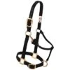 Weaver Leather Halter- Nylon Large Size -PetNCoop Store 5821 005 0027550 m 3dce0895 5751 46a2 b7fa 6f569e6df023