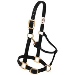 Weaver Leather Halter- Nylon Large Size