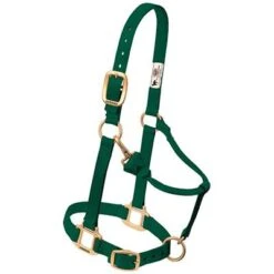 Weaver Leather Halter- Nylon Large Size -PetNCoop Store 5825 005 0027553 m de628cda 368c 4505 bdee 179ff5f19ef9