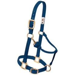 Weaver Leather Halter- Nylon Average Size -PetNCoop Store 5826 005 0027554 m