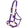 Weaver Leather Halter- Nylon Average Size