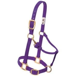 Weaver Leather Halter- Nylon Average Size