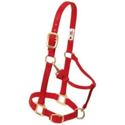 Weaver Leather Halter- Nylon Small Size -PetNCoop Store 5828 005 0027556 m 44ff2f3c fe89 47e0 bdb3 5e7f9023127a