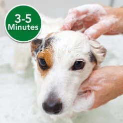 VETS BEST HYPO-ALLERGENIC SHAMPOOO 16OZ -PetNCoop Store 61FqCFsNjkL. SL1000 2683939e 4eef 4e7e 8810 60ec240a1667
