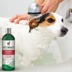 VETS BEST HOT SPOT SHAMPOOO 16OZ 11 VETS BEST HOT SPOT SHAMPOOO 16OZ -PetNCoop Store 61WmFyjPfRL. SL1000