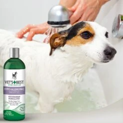 VETS BEST HYPO-ALLERGENIC SHAMPOOO 16OZ -PetNCoop Store 61rC6TtyOzL. SL1000