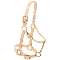 Weaver Leather Halter- Nylon Average Size -PetNCoop Store 6976 005 0028003 m