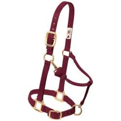 Weaver Leather Halter- Nylon Large Size -PetNCoop Store 6980 005 0028007 m a0252a89 4bd3 449c 8731 2c2eaf2971af