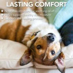 VETS BEST HOT SPOT SPRAY 8OZ -PetNCoop Store 71JqYEx cHL. SL1000