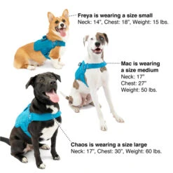 Kurgo RSG Townie Harness Lrg -PetNCoop Store B Harness Sizing Guide townie