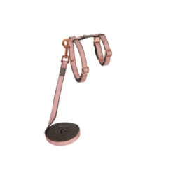 Rogz Urban Cat Harness & Lead -PetNCoop Store CLJ271 PB UrbanCat Control Harness and Lead S Pink Blush copy 500px Online 420x420 2893f158 eb27 4ea5 a270 48305234ce01