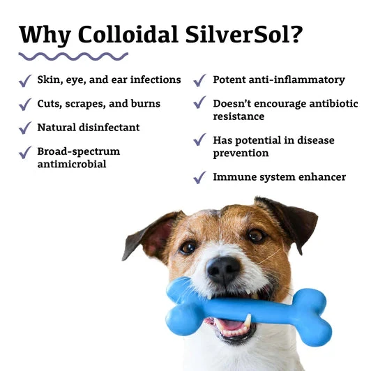 Collodial Silver 50ml 4 Collodial Silver 50ml - Image 2