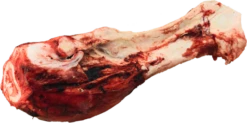 K9 Choice Beef Femur Dino Bone