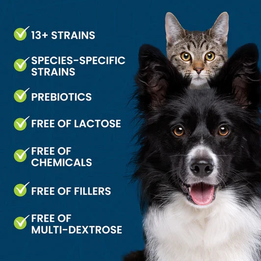 Easy Peesy II - 52g 4 Easy Peesy II - 52g - Image 2